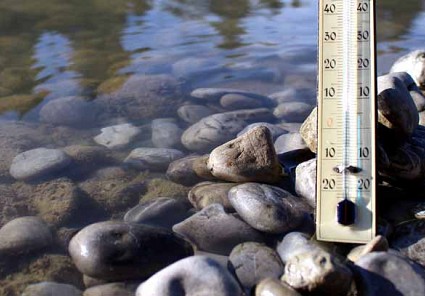 Starnberger See Wassertemperatur