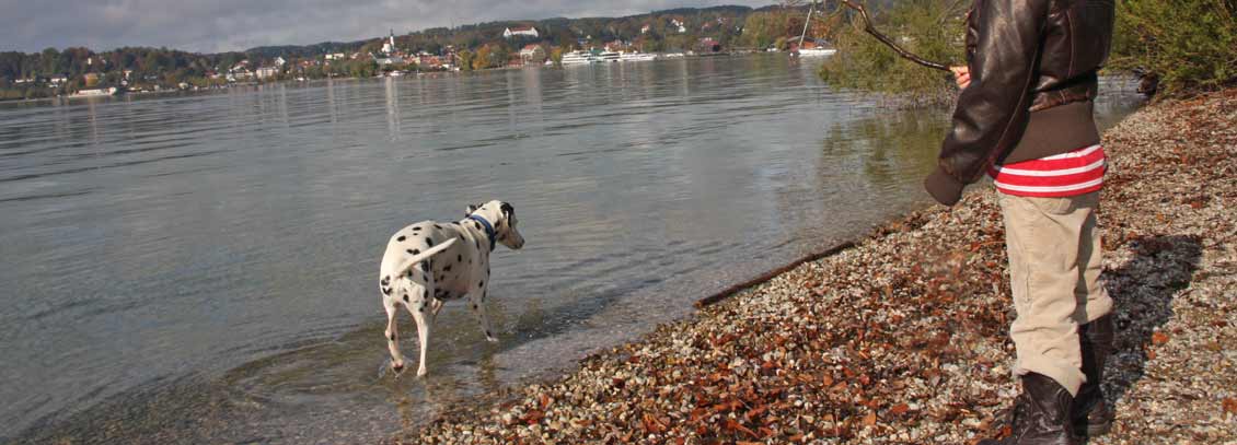 Hundestrände am Starnberger See