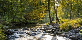 Maisinger Schlucht