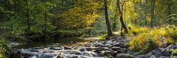 Maisinger Schlucht