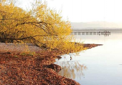 Ruhige Orte am Starnberger See