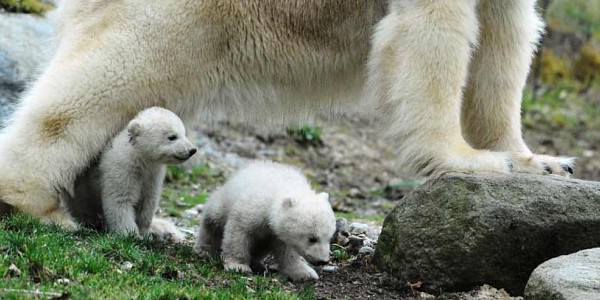 Zoos am Starnberger See