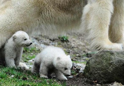 Zoos am Starnberger See